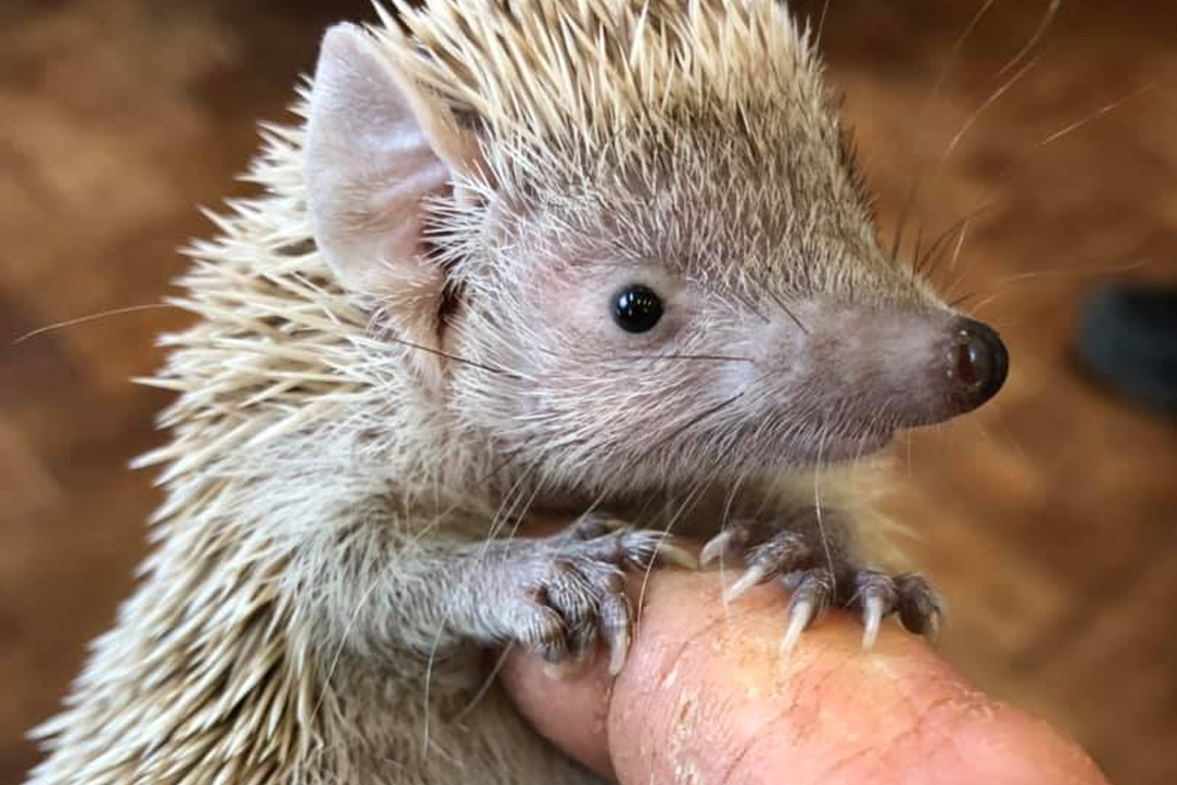 They're not all scary!